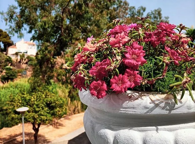 公寓 Villacarmen 贝纳尔马德纳